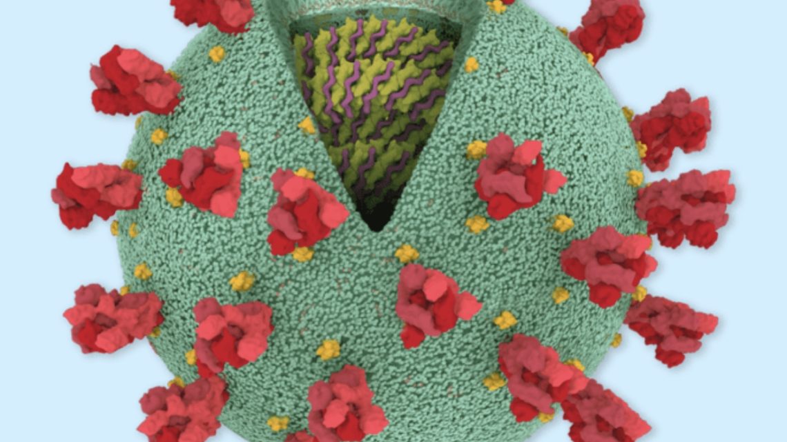 L’odontoiatria ai tempi del Coronavirus.